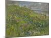 Headland Flowers near Berwick-Susan Ryder-Mounted Giclee Print