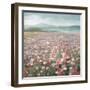 Headland Wildflowers Light-Danhui Nai-Framed Art Print