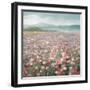 Headland Wildflowers Light-Danhui Nai-Framed Art Print