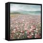 Headland Wildflowers Light-Danhui Nai-Framed Stretched Canvas