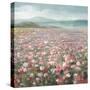 Headland Wildflowers Light-Danhui Nai-Stretched Canvas