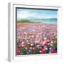 Headland Wildflowers-Danhui Nai-Framed Art Print