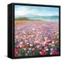 Headland Wildflowers-Danhui Nai-Framed Stretched Canvas