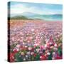 Headland Wildflowers-Danhui Nai-Stretched Canvas