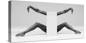 Headless Symmetry-Ross Oscar-Stretched Canvas