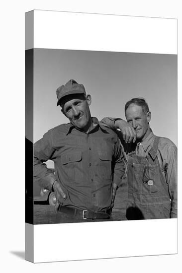 Heads of Families on the Mineral King Cooperative Farm.-Dorothea Lange-Stretched Canvas