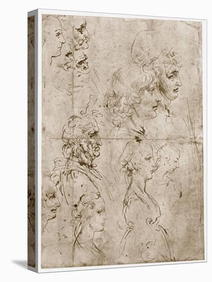 Heads of Girls, Young and Old Men, 1478-1480-Leonardo da Vinci-Stretched Canvas
