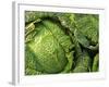 Heads of Lettuce-null-Framed Photographic Print