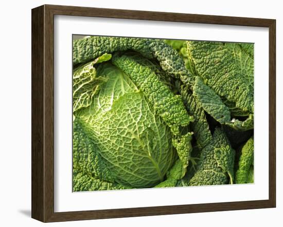 Heads of Lettuce-null-Framed Photographic Print