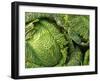 Heads of Lettuce-null-Framed Photographic Print