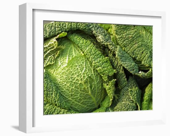 Heads of Lettuce-null-Framed Photographic Print