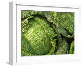 Heads of Lettuce-null-Framed Photographic Print