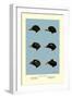 Heads of Scoters-Allan Brooks-Framed Art Print