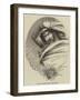 Heads of the Months-Joseph Kenny Meadows-Framed Giclee Print