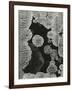 Headstone and Lichen, Japan, 1970-Brett Weston-Framed Photographic Print