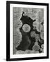 Headstone and Lichen, Japan, 1970-Brett Weston-Framed Photographic Print