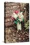 Headstones in Graveyard-Steven Allsopp-Stretched Canvas