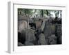 Headstones in the Graveyard of the Jewish Cemetery, Josefov, Prague, Czech Republic-Richard Nebesky-Framed Photographic Print