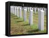 Headstones Mark the Graves of Veterans and their Loved Ones at Barrancas National Cemetery, Naval A-Steven Frame-Framed Stretched Canvas