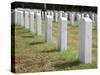 Headstones Mark the Graves of Veterans and their Loved Ones at Barrancas National Cemetery, Naval A-Steven Frame-Stretched Canvas