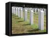 Headstones Mark the Graves of Veterans and their Loved Ones at Barrancas National Cemetery, Naval A-Steven Frame-Framed Stretched Canvas