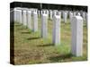 Headstones Mark the Graves of Veterans and their Loved Ones at Barrancas National Cemetery, Naval A-Steven Frame-Stretched Canvas