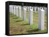 Headstones Mark the Graves of Veterans and their Loved Ones at Barrancas National Cemetery, Naval A-Steven Frame-Framed Stretched Canvas