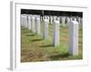 Headstones Mark the Graves of Veterans and their Loved Ones at Barrancas National Cemetery, Naval A-Steven Frame-Framed Photographic Print