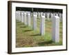 Headstones Mark the Graves of Veterans and their Loved Ones at Barrancas National Cemetery, Naval A-Steven Frame-Framed Photographic Print