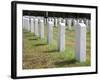 Headstones Mark the Graves of Veterans and their Loved Ones at Barrancas National Cemetery, Naval A-Steven Frame-Framed Photographic Print