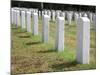 Headstones Mark the Graves of Veterans and their Loved Ones at Barrancas National Cemetery, Naval A-Steven Frame-Mounted Photographic Print