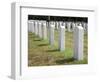 Headstones Mark the Graves of Veterans and their Loved Ones at Barrancas National Cemetery, Naval A-Steven Frame-Framed Photographic Print