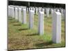 Headstones Mark the Graves of Veterans and their Loved Ones at Barrancas National Cemetery, Naval A-Steven Frame-Mounted Photographic Print