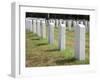 Headstones Mark the Graves of Veterans and their Loved Ones at Barrancas National Cemetery, Naval A-Steven Frame-Framed Photographic Print