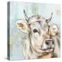 Headstrong Cow I-Eva Watts-Stretched Canvas