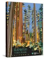 Headwaters Forest Reserve-Bureau of Land Management-Stretched Canvas