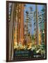 Headwaters Forest Reserve-Bureau of Land Management-Framed Art Print