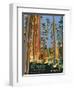 Headwaters Forest Reserve-Bureau of Land Management-Framed Art Print