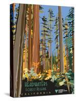 Headwaters Forest Reserve-Bureau of Land Management-Stretched Canvas