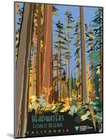 Headwaters Forest Reserve-Bureau of Land Management-Mounted Art Print