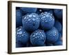 Healdsberg, Sonoma County, California: Detail of Grapes.-Ian Shive-Framed Photographic Print