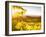 Healdsberg, Sonoma County, California: Sunset on Northern California Vineyards.-Ian Shive-Framed Photographic Print