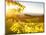 Healdsberg, Sonoma County, California: Sunset on Northern California Vineyards.-Ian Shive-Mounted Photographic Print