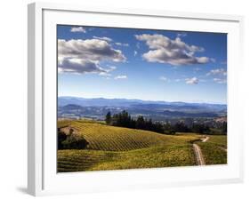 Healdsberg, Sonoma County, California: Vineyard at Sunset.-Ian Shive-Framed Photographic Print