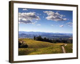 Healdsberg, Sonoma County, California: Vineyard at Sunset.-Ian Shive-Framed Photographic Print