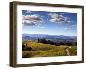 Healdsberg, Sonoma County, California: Vineyard at Sunset.-Ian Shive-Framed Photographic Print