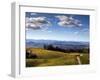 Healdsberg, Sonoma County, California: Vineyard at Sunset.-Ian Shive-Framed Photographic Print