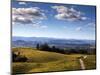 Healdsberg, Sonoma County, California: Vineyard at Sunset.-Ian Shive-Mounted Photographic Print