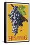 Healdsburg, California - Grapes - Letterpress-Lantern Press-Framed Stretched Canvas