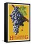 Healdsburg, California - Grapes - Letterpress-Lantern Press-Framed Stretched Canvas